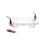 Electrophoresis